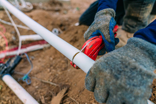 Best Clogged Drain Plumber  in Chester, IL