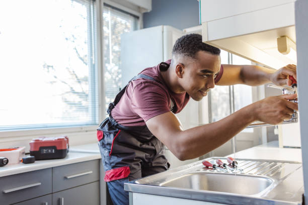Best Clogged Drain Plumber  in Chester, IL