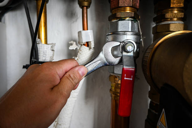 Best Leak Detection Services  in Chester, IL
